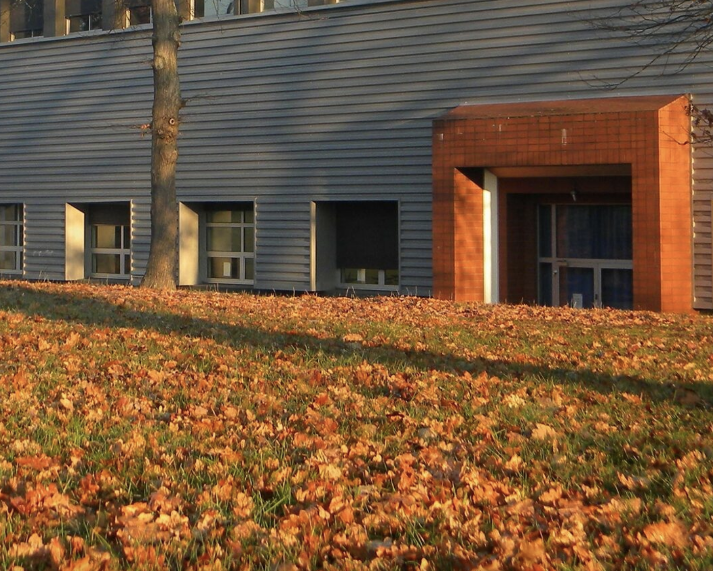 BMA œuvre pour la substitution énergétique