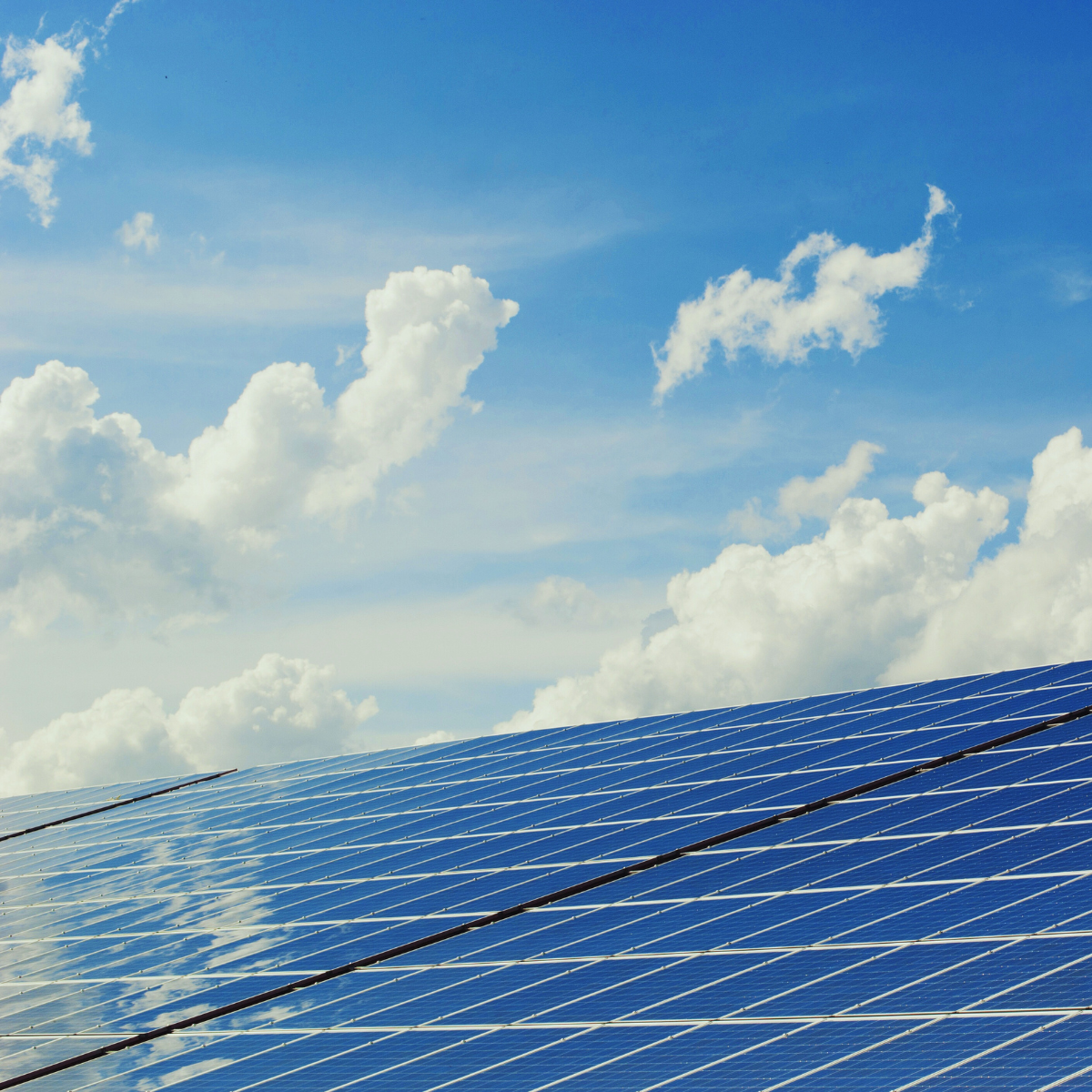 Bordeaux accélère sa transition énergétique avec la solarisation de la Base sous-marine