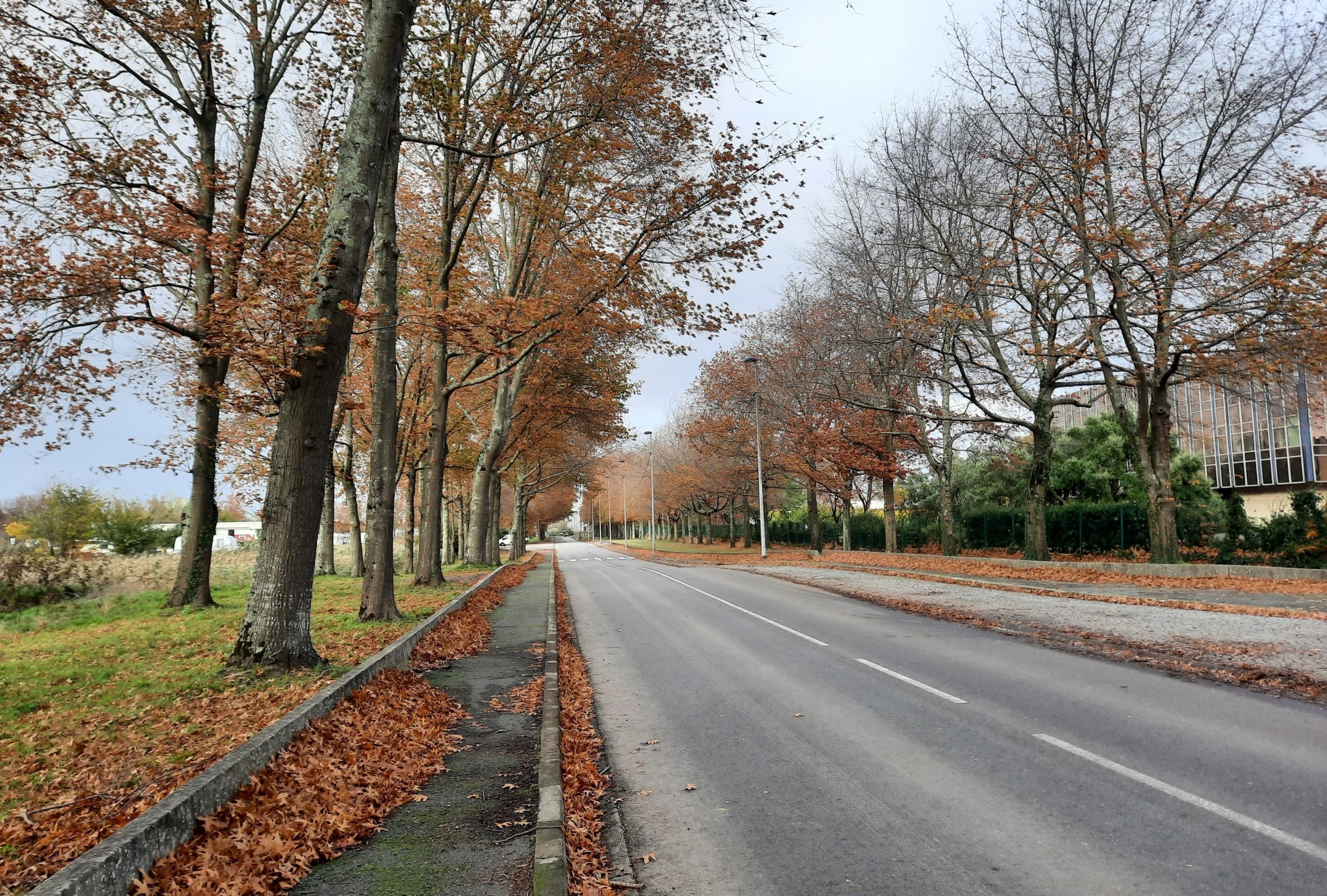 Espaces publics la Jallère